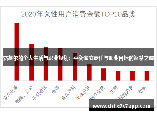 费基尔的个人生活与职业规划：平衡家庭责任与职业目标的智慧之道