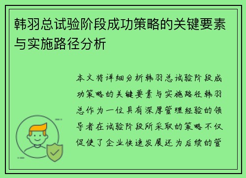 韩羽总试验阶段成功策略的关键要素与实施路径分析