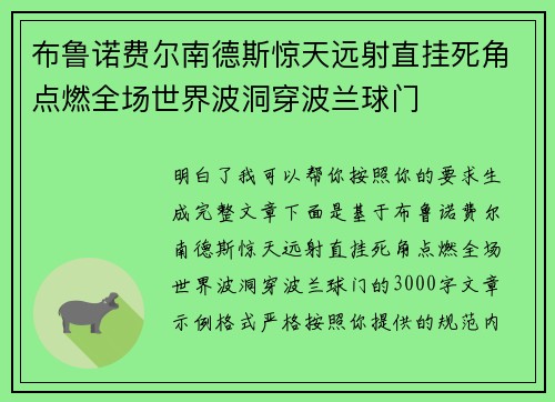 布鲁诺费尔南德斯惊天远射直挂死角点燃全场世界波洞穿波兰球门