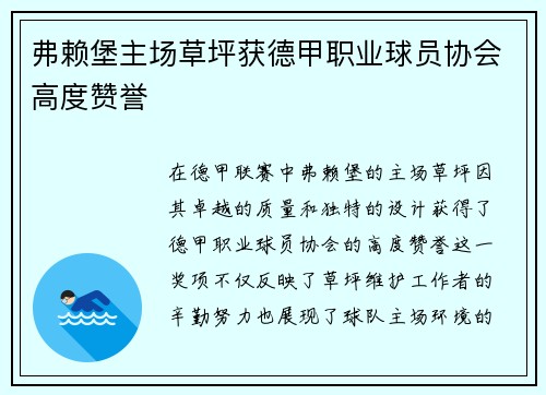 弗赖堡主场草坪获德甲职业球员协会高度赞誉